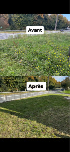 Photo de galerie - Tonte de pelouse - Débroussaillage