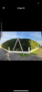 Photo de galerie - Taillage de haies est ramassage