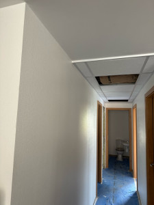 Photo de galerie - Installation de fils de vers