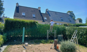 Photo de galerie - Taille de haie 