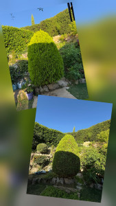 Photo de galerie - Taille