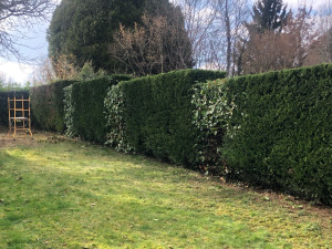 Photo de galerie - Après le travail effectué 