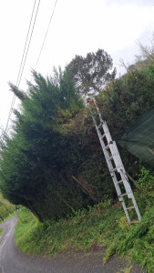 Photo de galerie - Travail artisanale 