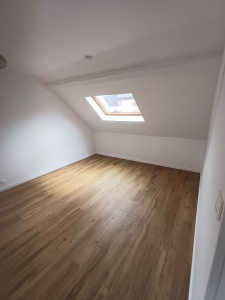 Photo de galerie - Pose de parquet pvc et peinture 
