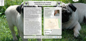 Photo de galerie - Pension canine