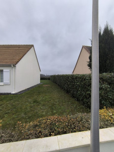 Photo de galerie - Taille d'une haie avec évacuation des déchets 