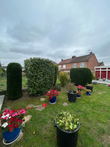 Photo de galerie - Après