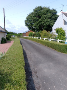 Photo de galerie - Taille de Haie