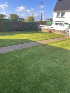 Photo de galerie - Taille de haie et tonte de pelouse 