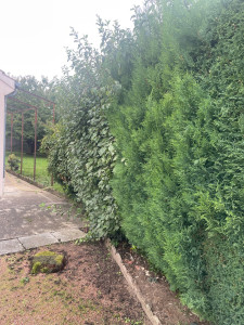 Photo de galerie - Avant 