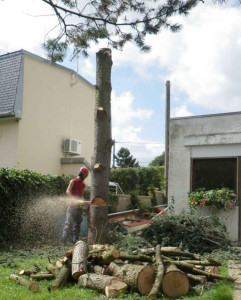 Photo de galerie - Travail très professionnel