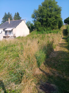 Photo de galerie - Tonte de pelouse - Débroussaillage