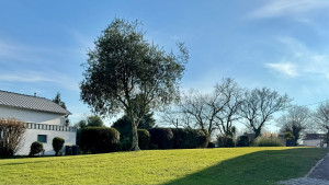 Photo de galerie - Une pelouse prête à recevoir un match de foot ⚽️ 