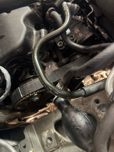 Photo de galerie - Courroie distribution 