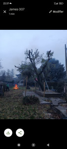 Photo de galerie - La finition bien taillée