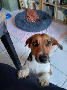 Photo de galerie - Une gentille adorable en pension plusieurs jours..