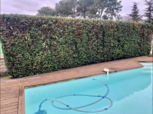 Photo de galerie - Jardinier