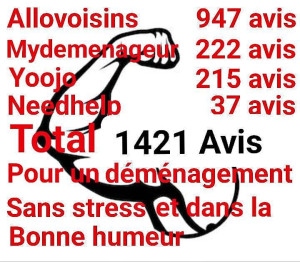 Photo de galerie - Pour déménagement garanti sans stress et dans la bonne humeur 