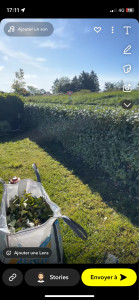 Photo de galerie - Taille de haies 