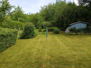 Photo de galerie - Tonte de pelouse - Débroussaillage