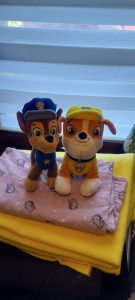 Photo de galerie - Les gardien 