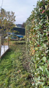 Photo de galerie - Après 