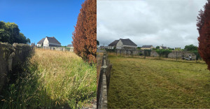 Photo de galerie - Tonte herbe hautes de terrains non entretenus