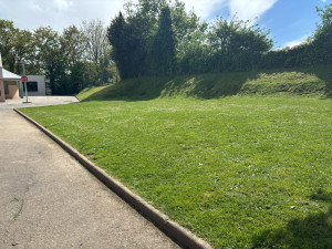 Photo de galerie - Tonte de pelouse - Débroussaillage