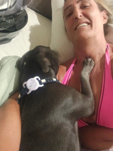 Photo de galerie - Garde chien