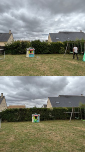 Photo de galerie - Taille de haies et d'arbustes