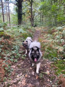 Photo de galerie - Je gardais le frère de Stella: Léo 