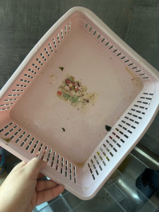 Photo de galerie - Avant de nettoyer le frigidaire 