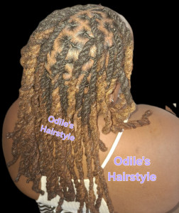 Photo de galerie - Entretien de locks , 
twist, crochet et coiffure