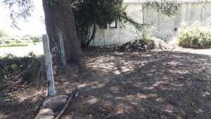 Photo de galerie - Tonte de pelouse - Débroussaillage