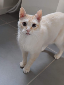 Photo de galerie - Garde animaux