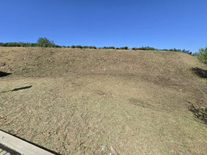 Photo de galerie - Débroussaillage talu fini 