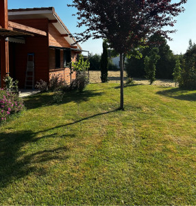 Photo de galerie - Tonte de pelouse - Débroussaillage