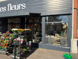 Photo de galerie - Ménage