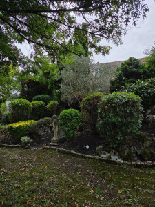 Photo de galerie - Taille des arbustes réalisée de façon nette et homogène pour un rendu propre et ordonné. Nettoyage du pied des massifs et dégagement autour de la statue afin de la mettre en valeur. Mise en forme simple et efficace pour faciliter l’entretien du jardin.