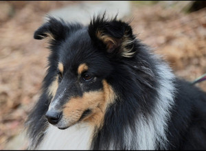 Photo de galerie - ❤️Oslo❤️