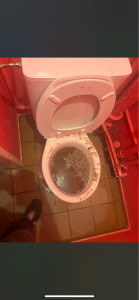 Photo de galerie - Débouchage toilette