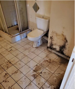 Photo de galerie - Remise en etat 