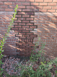 Photo de galerie - Maçonnerie d'un bout de mur pour réparer une fissure.