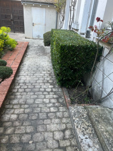 Photo de galerie - Taille d’une petite haie 