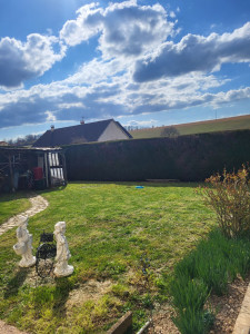 Photo de galerie - Tonte de pelouse