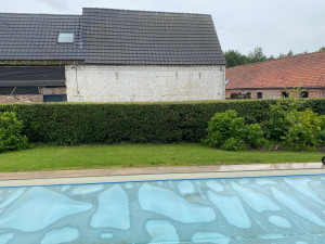 Photo de galerie - Paysagiste - Aménagement du jardin