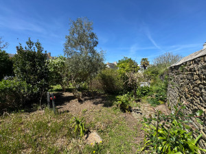 Photo de galerie - Défrichage 3/3