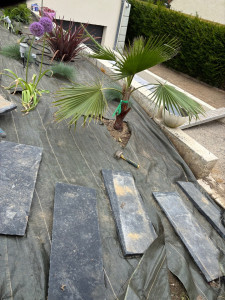 Photo de galerie - Creation de massif 