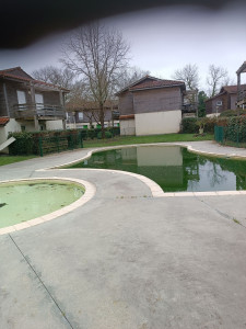 Photo de galerie - Entretien piscine