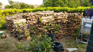 Photo de galerie - Je coupe du bois et les haies 